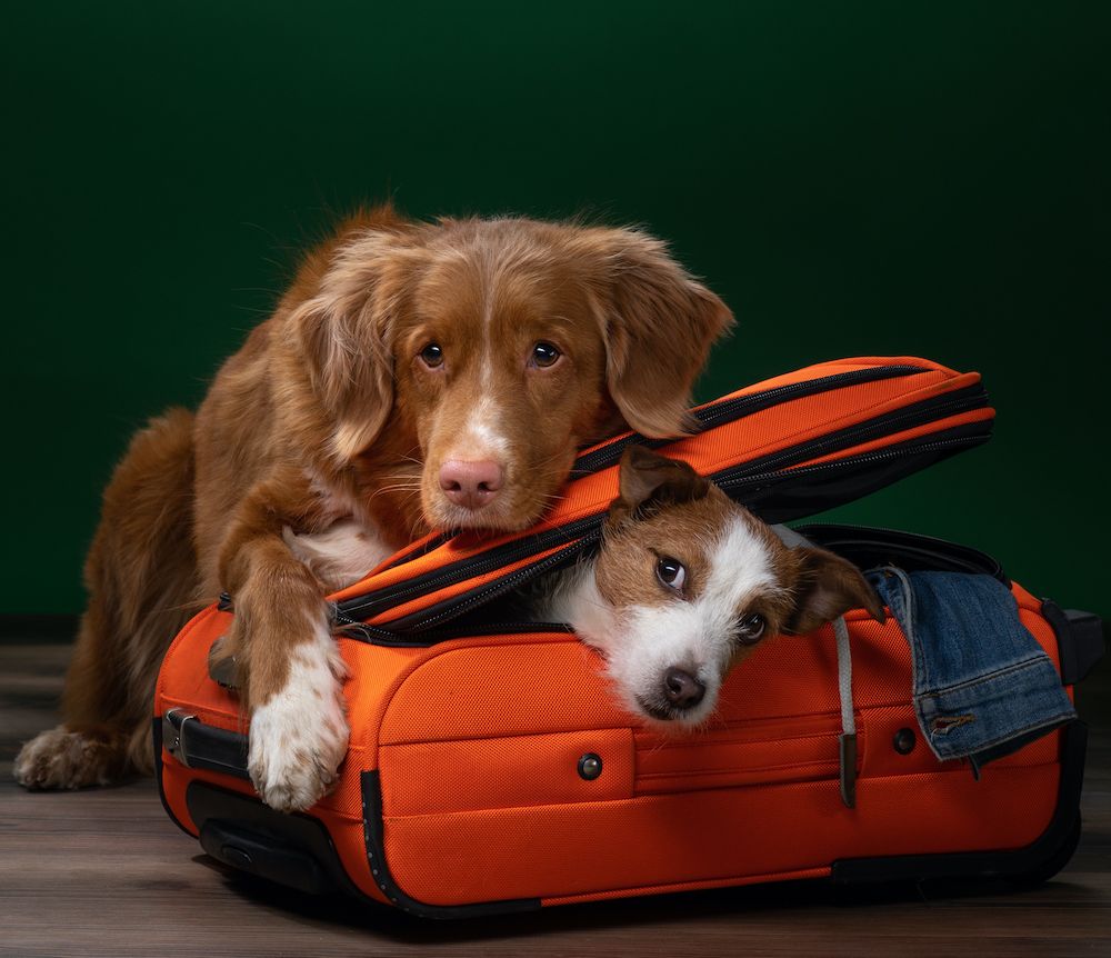 Views from a Delegate